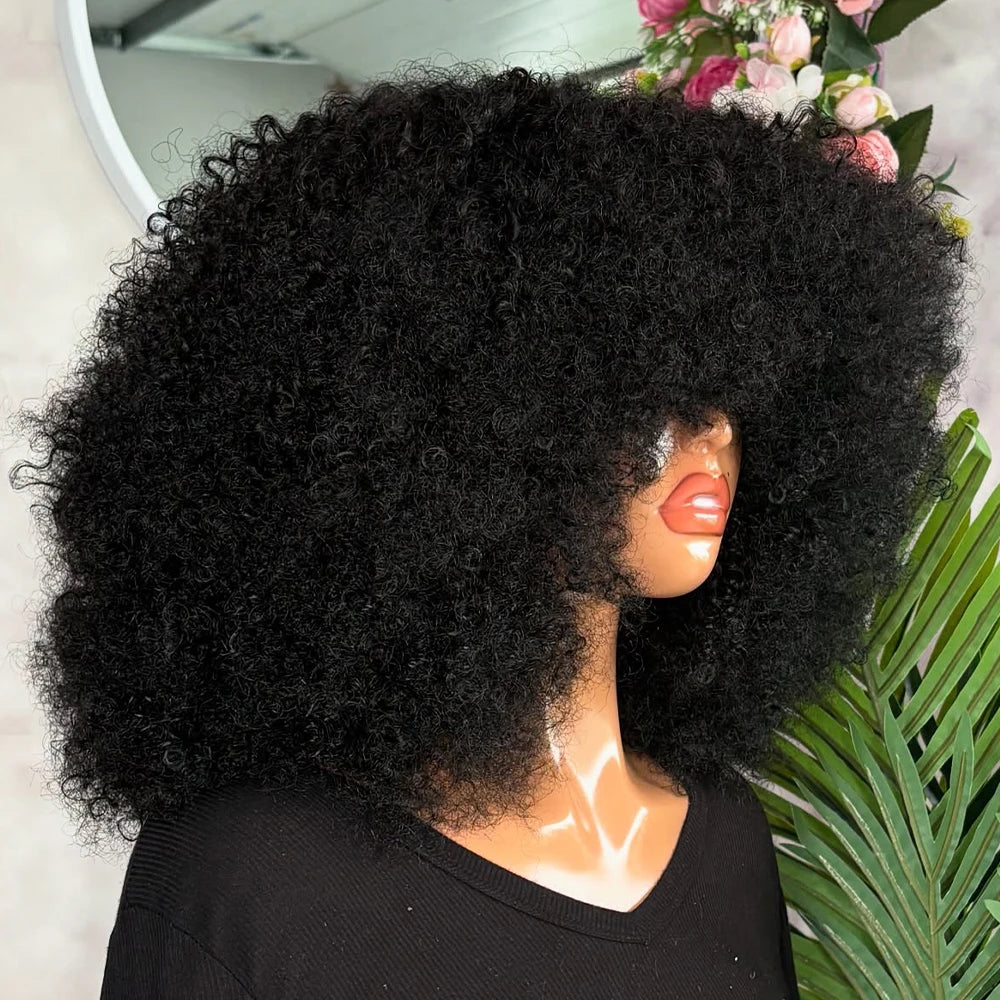 Afro Kinky Curly Wigs Human Hair Wear And Go 400 Density 13×6/360 HD Transparent Lace Wigs 100% Human Hair Pre Plucked For Women