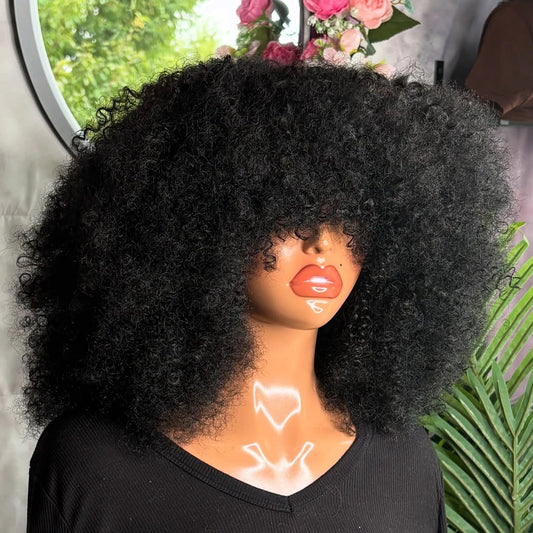 Afro Kinky Curly Wigs Human Hair Wear And Go 400 Density 13×6/360 HD Transparent Lace Wigs 100% Human Hair Pre Plucked For Women