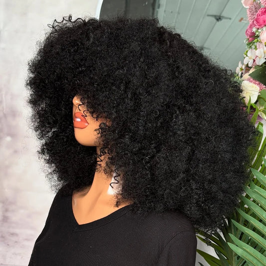 Afro Kinky Curly Wigs Human Hair Wear And Go 400 Density 13×6/360 HD Transparent Lace Wigs 100% Human Hair Pre Plucked For Women