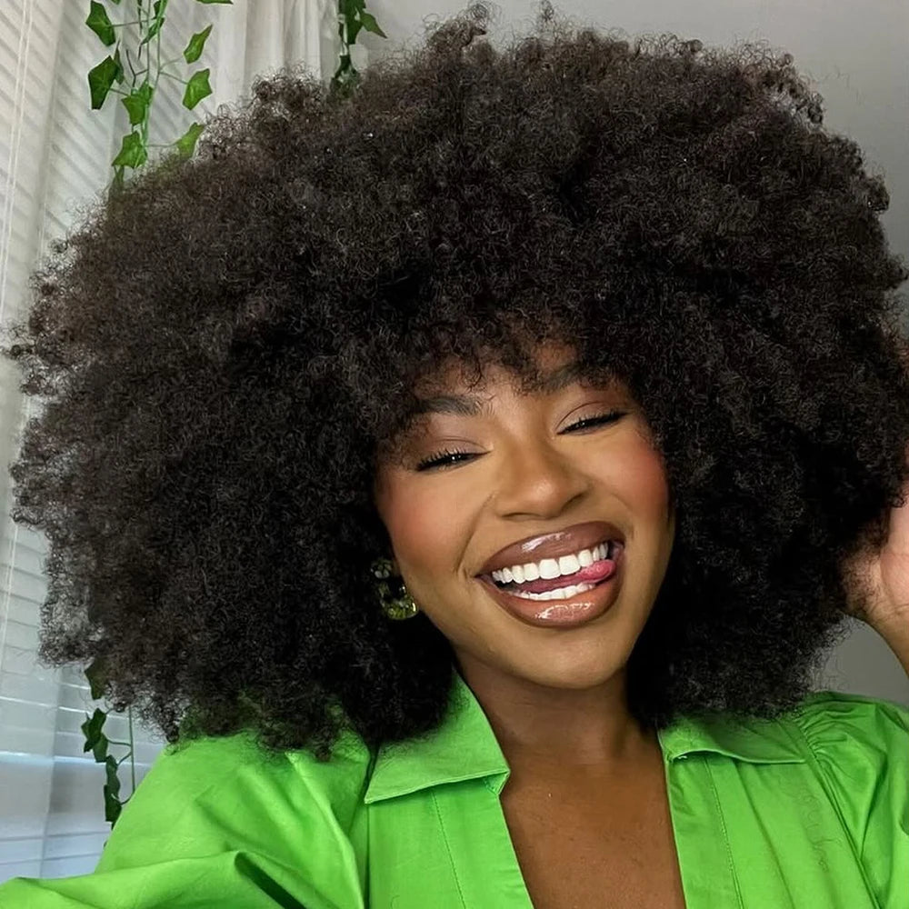 Afro Kinky Curly Wigs Human Hair Wear And Go 400 Density 13×6/360 HD Transparent Lace Wigs 100% Human Hair Pre Plucked For Women